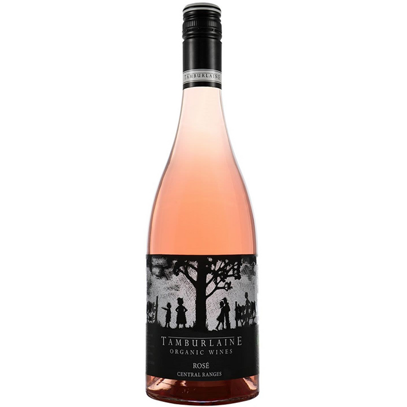 TAMBURLAINE ROSE