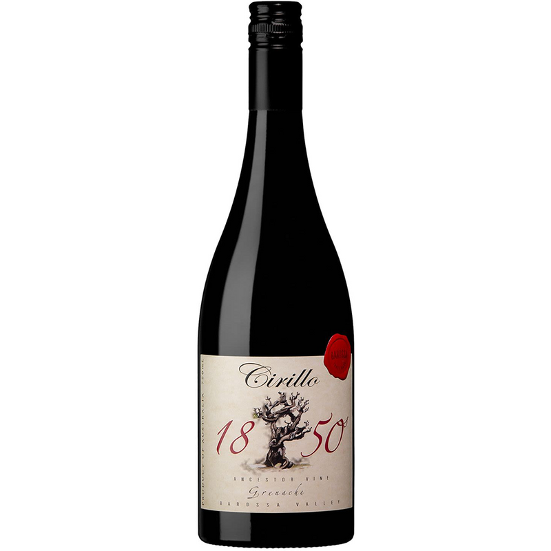 CIRILLO 1850 ANCESTOR GRENACHE