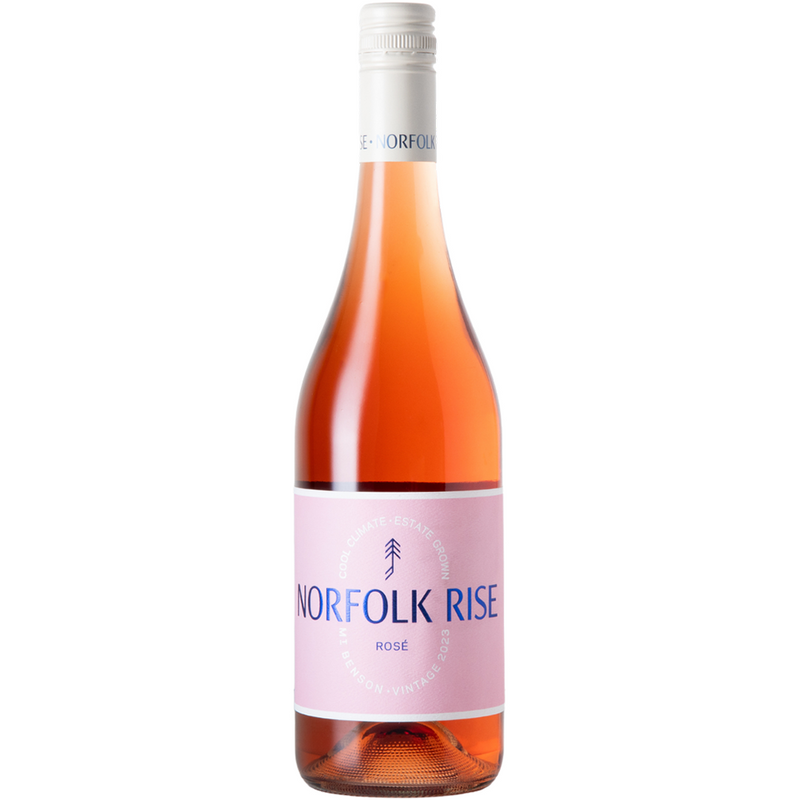 NORFOLK RISE ROSE